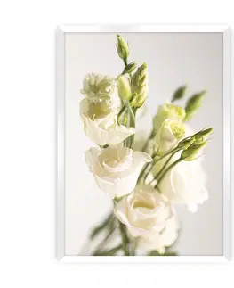 Obrazy a plakáty Plakát Elegant Flowers