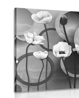 Černobílé obrazy Obraz máky na abstraktním pozadí v černobílém provedení