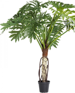 Umělé rostliny KARE Design Dekorativní rostlina Philodendron Bipinnatifidum 175 cm