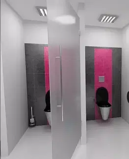 Koupelnový nábytek SANELA Nerezové doplňky Zásobník na toaletní papír 290x100 mm, nerez mat SLZN 37