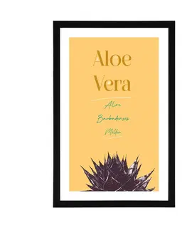 Motivy z naší dílny Plakát s paspartou a stylovým nápisem Aloe Vera