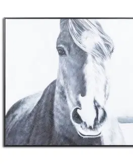 Luxusní a designové obrazy a malby Estila Ručně malovaný obraz Kůň s černým dřevěným rámem 100x120