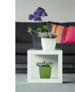 Květináče a truhlíky Květináč Coubi Square s miskou bílá, 18 x 18 x 16,5 cm