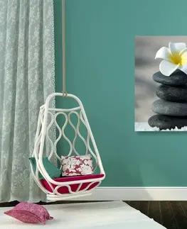 Obrazy Feng Shui Obraz harmonické kameny a květ plumerie