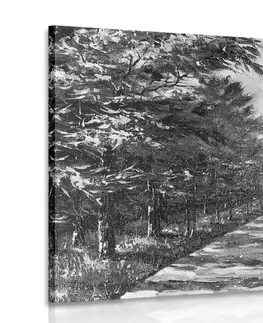 Černobílé obrazy Obraz podzimní alej stromů v černobílém provedení