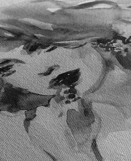 Černobílé obrazy Obraz akvarelový ženský portrét v černobílém provedení