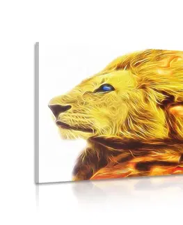 Obrazy zvířat Obraz ohnivý lev