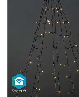 Vánoční osvětlení SmartLife Dekorativní LED  WIFILXT01W200