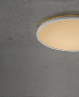 LED stropní svítidla NORDLUX stropní svítidlo Planura 2700K 22W bílá 47286001