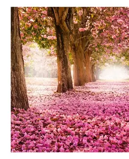 Tapety Samolepící tapeta růžová alej - Pink grove