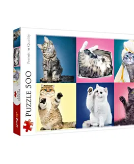 Hry, zábava a dárky Puzzle 500 dílků  Kočky
