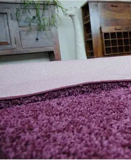 Koberce a koberečky Dywany Lusczow Kusový koberec SHAGGY Izebelie 5cm fialový, velikost 100x200