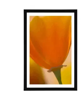 Květiny Plakát s paspartou kytice květin v detailním záběru