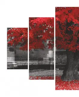 Obrazy Hanah Home Vícedílný obraz Red Tree 92 x 56 cm