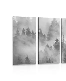 Černobílé obrazy 5-dílný obraz hory v mlze v černobílém provedení