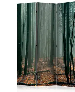 Paravány Paraván Witches' forest Dekorhome 135x172 cm (3-dílný)