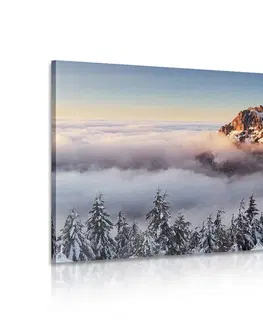 Obrazy přírody a krajiny Obraz Rozsutec ve sněhové peřině