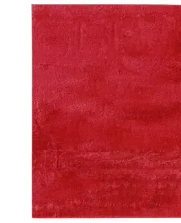 Kožešinové koberce Umělá Kožešina Caroline 2, 120/160cm, Červená