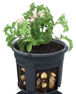 Květináče a truhlíky Květináč na pěstování brambor