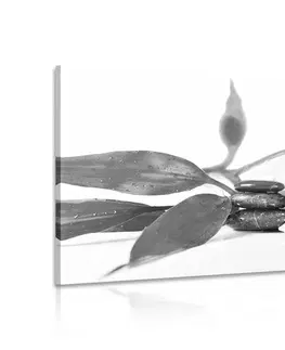 Černobílé obrazy Obraz zátiší s Zen kameny v černobílém provedení