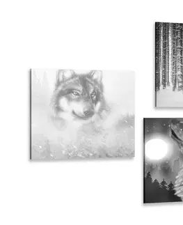 Sestavy obrazů Set obrazů tajuplný vlk v černobílém provedení