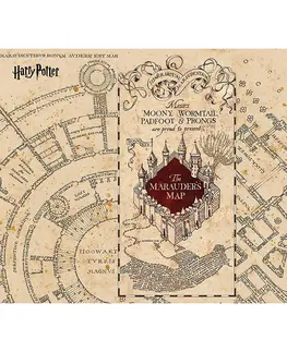 Tapety Dětská fototapeta Harry Potter Marauders Map 252 x 182 cm, 4 díly