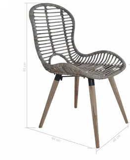 Židle Jídelní židle 4 ks ratan / dřevo Dekorhome Hnědá