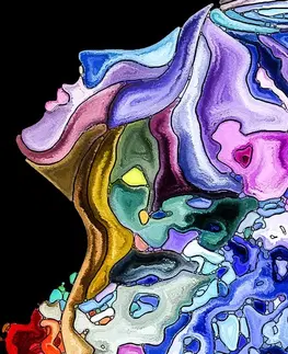Abstraktní obrazy Obraz barevná siluleta ženské tváře