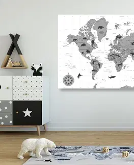 Obrazy na korku Obraz na korku mapa se zvířaty v černobílém provedení