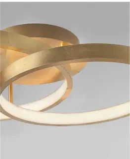 Designová stropní svítidla Nova Luce Originální stropní LED svítidlo Leon v luxusním zlatém designu NV 8100282