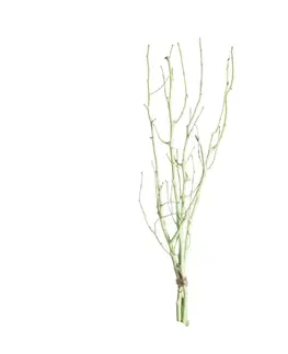 Umělé květiny Lísková větev 50cm light green