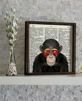 Obrazy Wallity Nástěnný obraz Monkey 34x34 cm I
