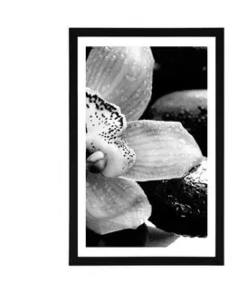 Černobílé Plakát s paspartou exotická orchidej v černobílém provedení