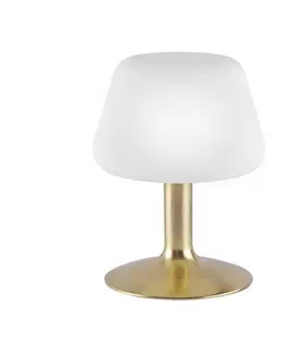 LED stolní lampy PAUL NEUHAUS LED stolní lampa v matné mosazi a stínítkem z opálového skla, teplá bílá barva vč. Dotykového stmívání 3000K PN 4078-60