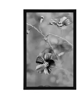 Černobílé Plakát květiny v černobílém provedení