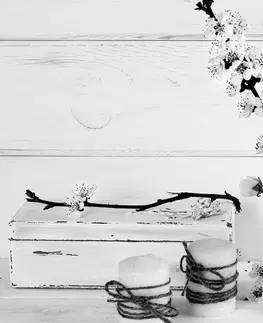 Černobílé obrazy Obraz rustikální zátiší v černobílém provedení