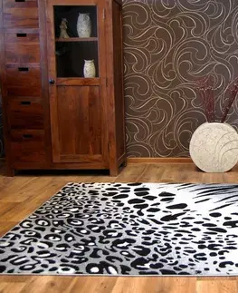 Koberce a koberečky Dywany Lusczow Kusový koberec BCF FLASH 33282/155, velikost 160x225
