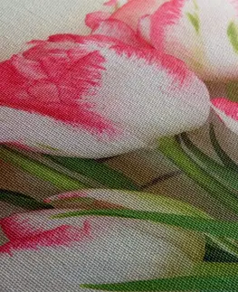 Obrazy květů Obraz jarní tulipány