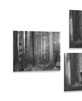 Sestavy obrazů Set obrazů lesní zvířata v černobílém provedení