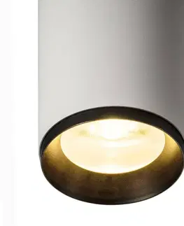 LED lustry a závěsná svítidla SLV BIG WHITE NUMINOS PD DALI L vnitřní LED závěsné svítidlo bílá/černá 3000 K 60° 1004640