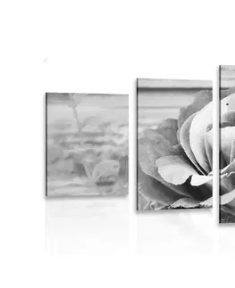 Černobílé obrazy 5-dílný obraz elegantní vintage růže v černobílém provedení