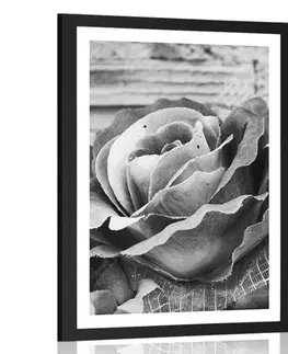 Černobílé Plakát s paspartou elegantní vintage růže v černobílém provedení