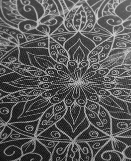 Černobílé obrazy Obraz textura Mandaly v černobílém provedení