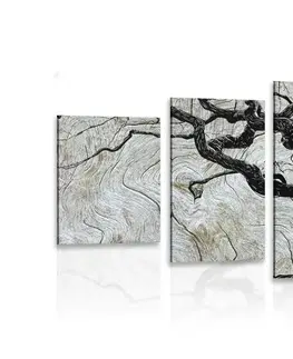 Obrazy stromy a listy 5-dílný obraz abstraktní strom na dřevě