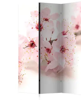 Paravány Paraván Cherry Blossom Dekorhome 135x172 cm (3-dílný)