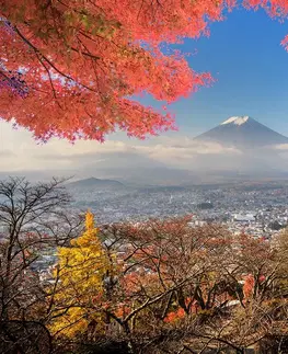 Tapety města Fototapeta podzim v Japonsku