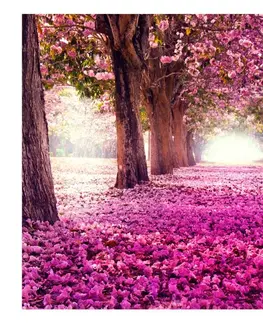 Tapety Samolepící tapeta růžový park - Pink path