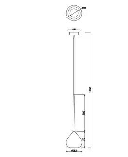 Moderní závěsná svítidla ZUMALINE Závěsné svítidlo LIBRA MD2128-1R