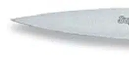 Kuchyňské nože F. Dick Superior kuchyňský 10 cm