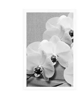 Černobílé Plakát orchidej na plátně v černobílém provedení
